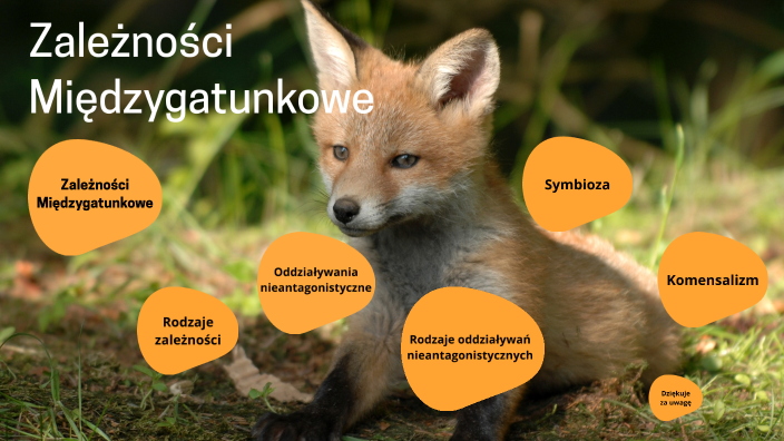 Rodzaje zależności między organizmami. by Oliwier Mika on Prezi