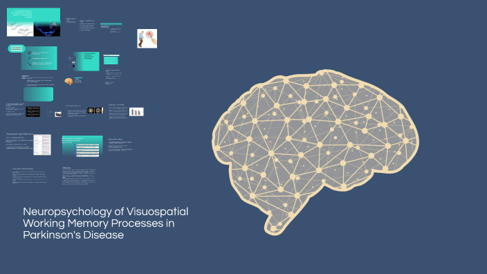 Neuropsychology of Visuospatial Working Memory Processes in Parkinson's ...