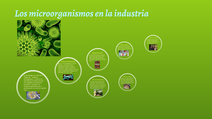 Los microorganismos en la industria by Pakarina Lema on Prezi