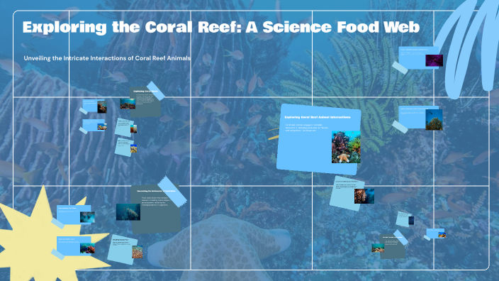 Exploring the Coral Reef: A Science Food Web by Phoenix Fishman on Prezi
