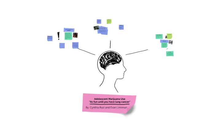 Understanding Adolescent Marijuana Abuse by cynthia ruiz on Prezi