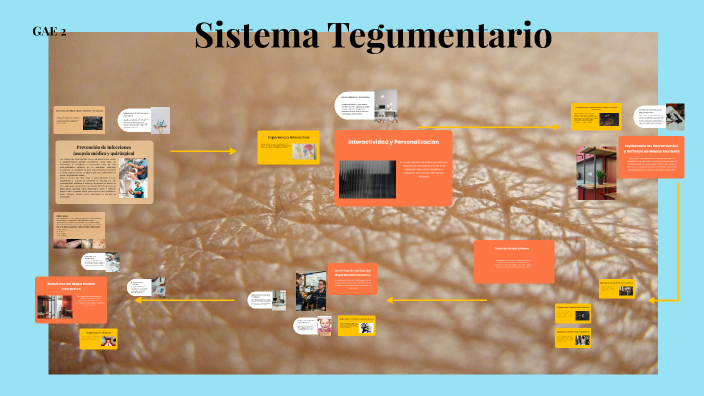 Explorando el Mapa Mental Interactivo by May Torres on Prezi
