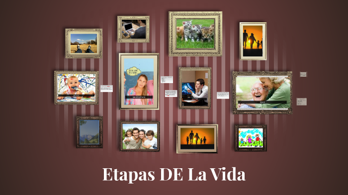 Etapas DE La Vida by ana sorrosal on Prezi