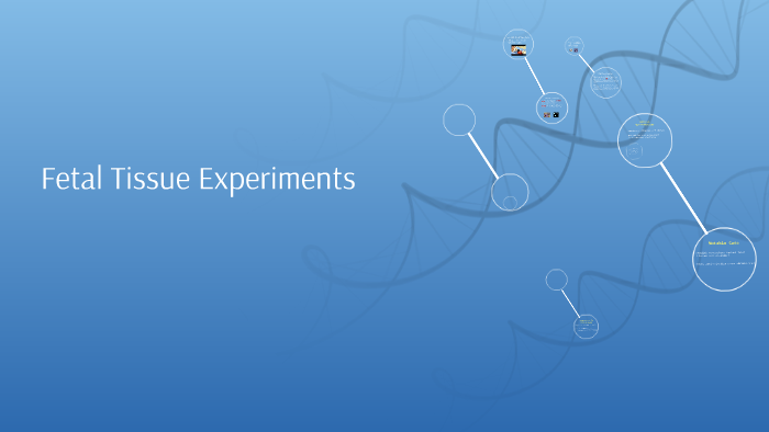 fetal tissue research reaction paper