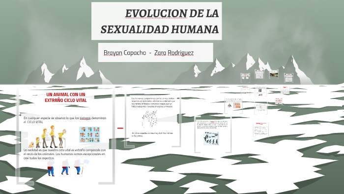 Evolucion De La Sexualidad Humana By Brayan Gustavo Capacho Urrego On Prezi 7083
