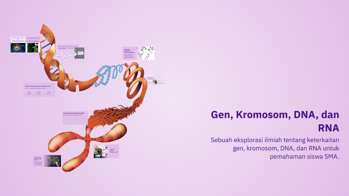Gen, Kromosom, DNA, dan RNA by REVINA SRI UTAMI on Prezi