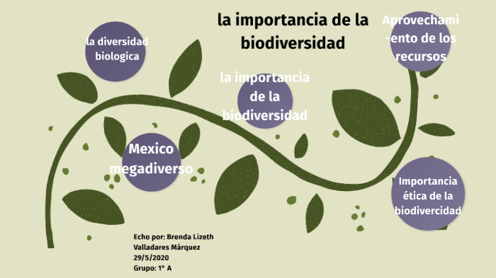 importancia de la biodiversidad by Brenda Lizeth Valladares Marquez on