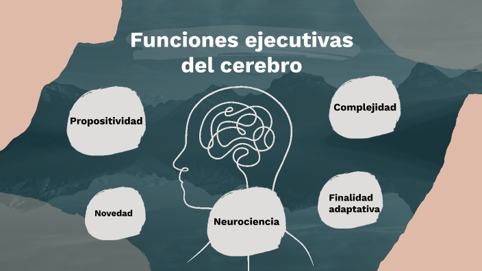 Funciones Ejecutivas Del Cerebro Neuroadministracion By Adriiana Garcia On Prezi 9171