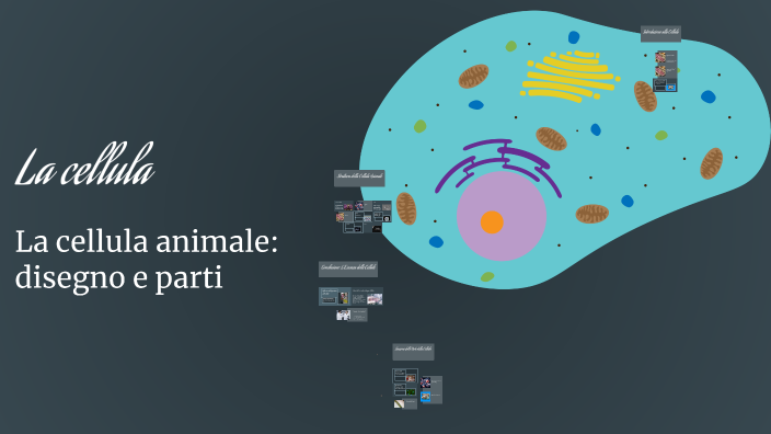 La cellula by on Prezi