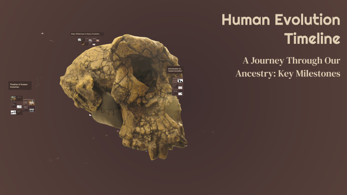 Human Evolution Timeline by Alexander Vences on Prezi
