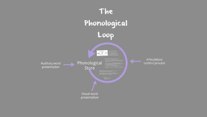 The Phonological Loop by Adriana Uryga on Prezi