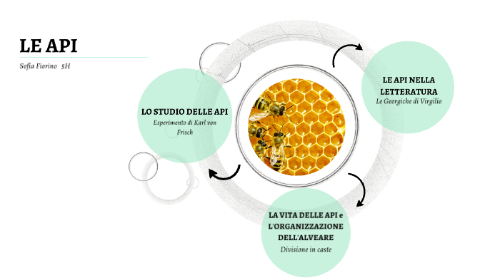 LE API by Sofia Fiorino on Prezi