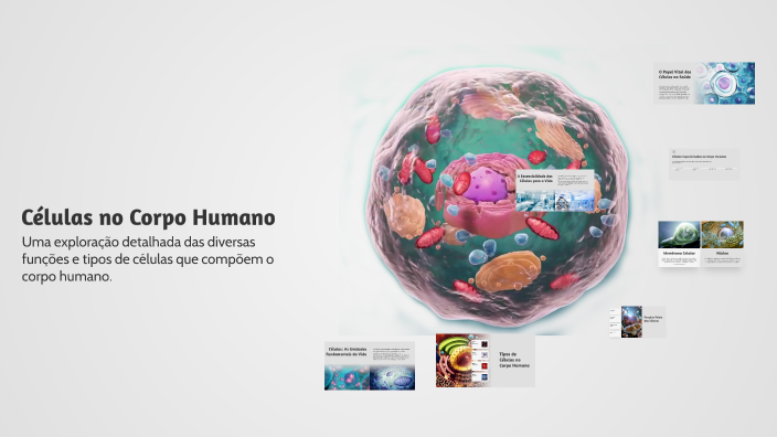 Células no Corpo Humano by gabi lopes on Prezi
