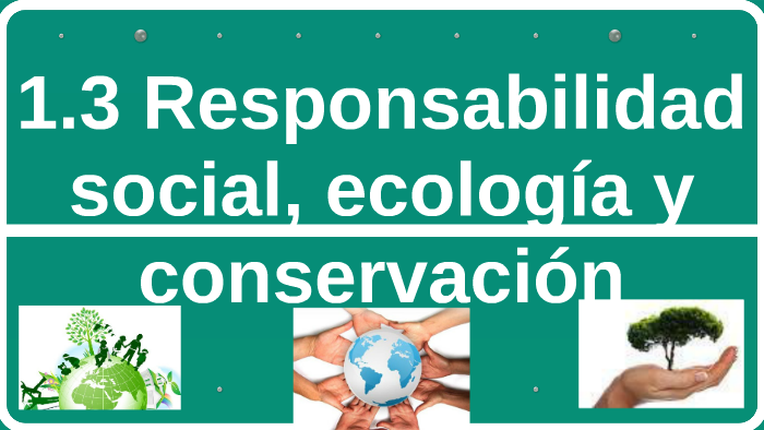 1.4 Responsabilidad Social Ecología Y Conservación