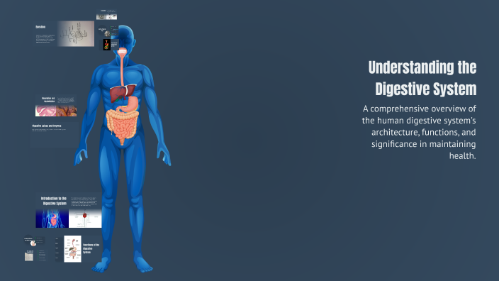 Understanding the Digestive System by Thamayanthi M on Prezi