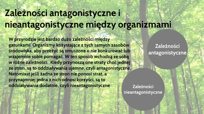 Antagonistyczne I Nieantagonistyczne Zależności Między Organizmami Zależności antagonistyczne i nieantagonistyczne między organizmami na