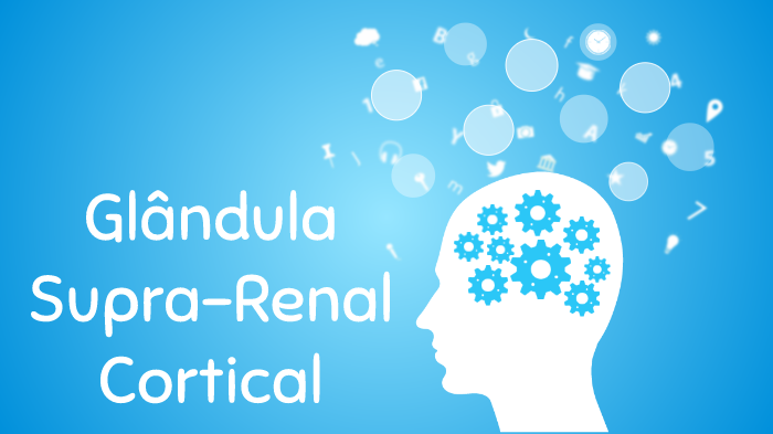 Glândula supra-renal cortical by Laura Carolina