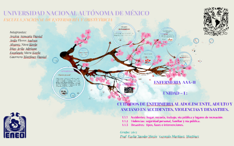 UNIVERSIDAD NACIONAL AUTÓNOMA DE MÉXICO by Dannie Karly on Prezi