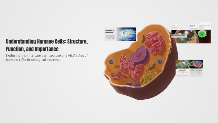 Understanding Humane Cells: Structure, Function, and Importance by ...