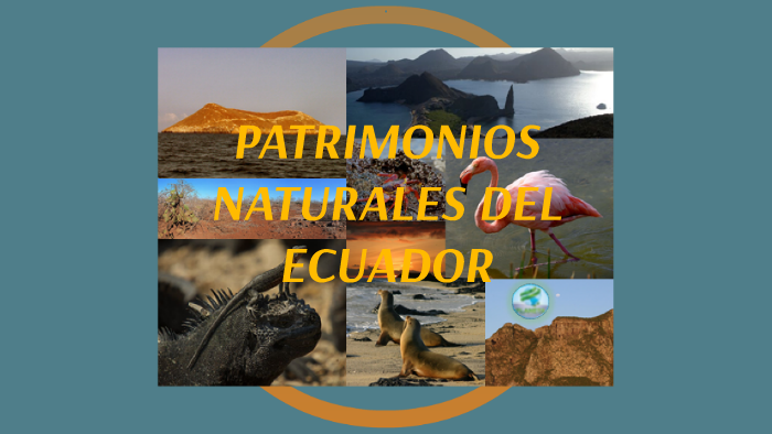 PATRIMONIOS NATURALES DEL ECUADOR By Odalys Pozo On Prezi