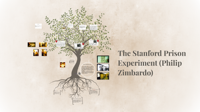 philip zimbardo stanford prison experiment conclusion