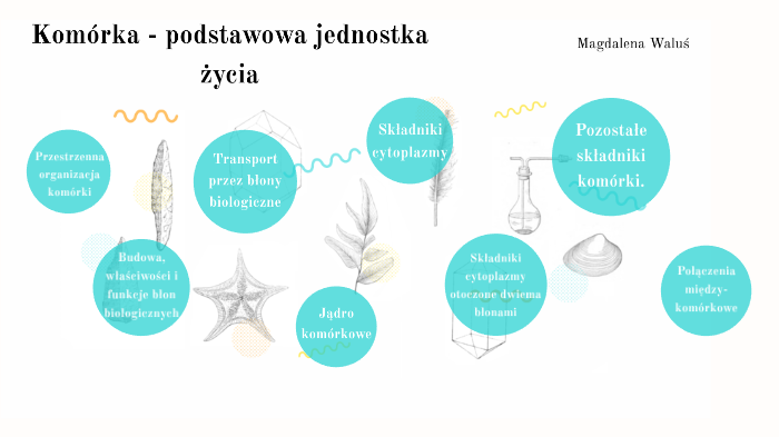 Komórka - podstawowa jednostka życia by Magdalena Waluś on Prezi