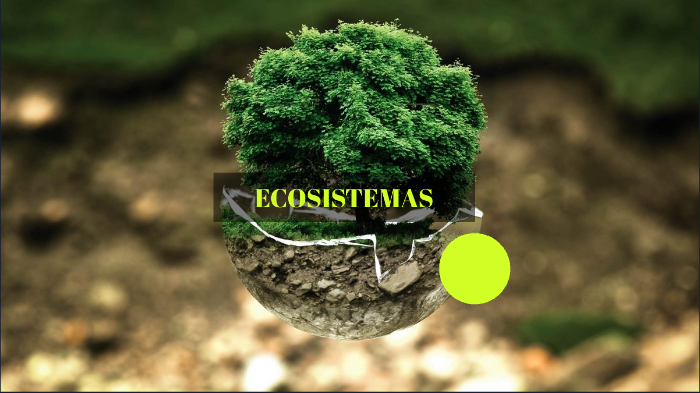 ECOSISTEMAS by July León on Prezi