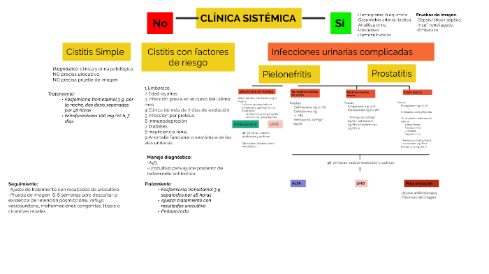 levofloxacina en el tratamiento de infecciones del tracto urinario y prostatitis levofloxacina en el tratamiento de infecciones del tracto urinario y prostatitis