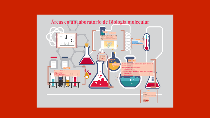 Areas en un laboratorio de Biología molecular by angela creo on Prezi