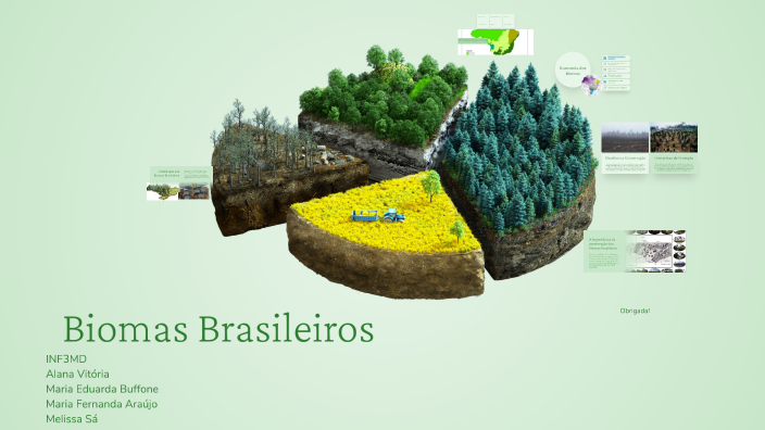 Biomas Brasileiros by maria eduarda buffone on Prezi