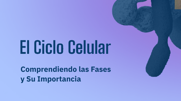 El Ciclo Celular by Giselle Paredes on Prezi