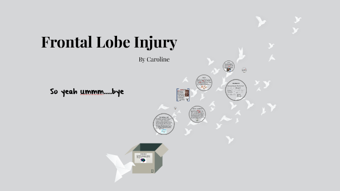 case study of frontal lobe