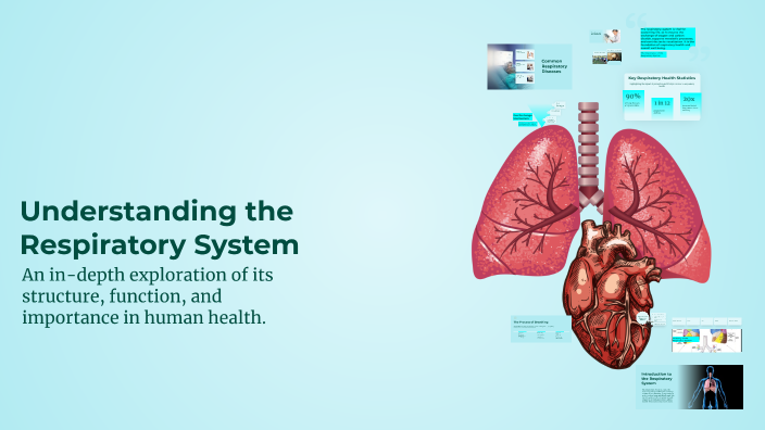Understanding the Respiratory System by on Prezi