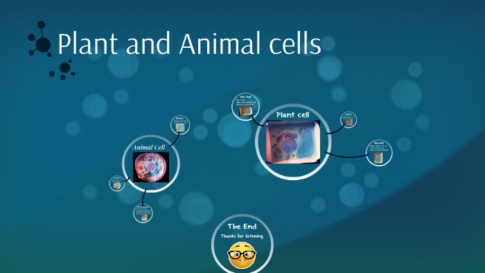 Plant and Animal cells by Isabel Toledo on Prezi