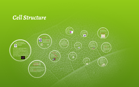Cell Structure by hannah davis on Prezi
