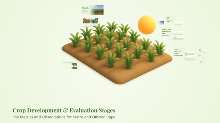 Crop Development & Evaluation Stages by Meet Patel on Prezi