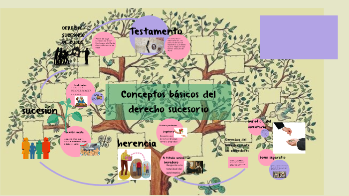 Mapa mental Derecho sucesorio by Alejandra Tesan on Prezi Next