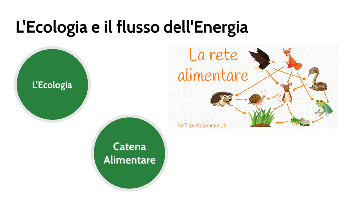 L'Ecologia e il flusso dell'Energia by Lorenzo Pezzoli on Prezi