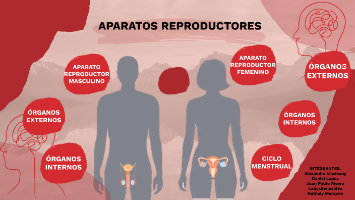 APARATOS REPRODUCTORES By ANGELA NATHALY MARQUEZ TORO On Prezi