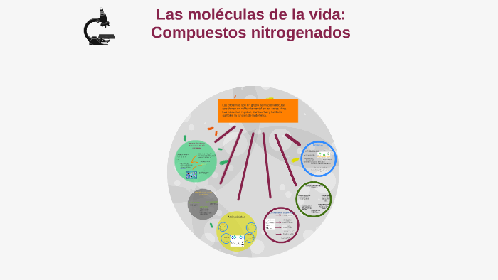 Las moléculas de la vida: Compuestos nitrogenados by malena fm on Prezi