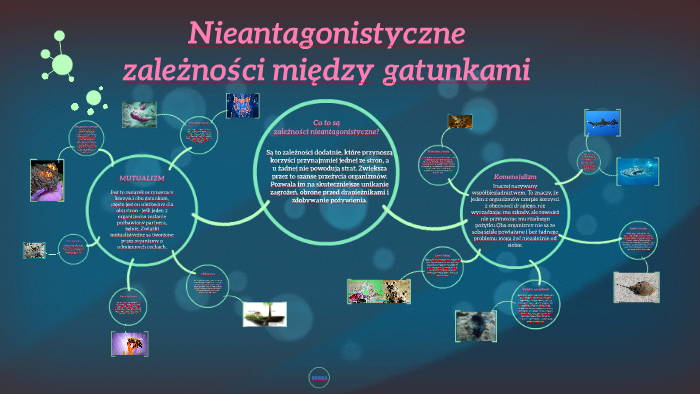 Nieantagonistyczne zależności między gatunkami by dominik kujawski on Prezi