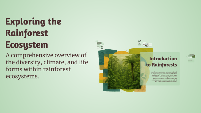 Exploring the Rainforest Ecosystem by Pauline Panichapong on Prezi