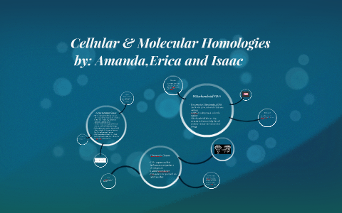 Cellular and Molecular Homologies by Erica VanHoose on Prezi