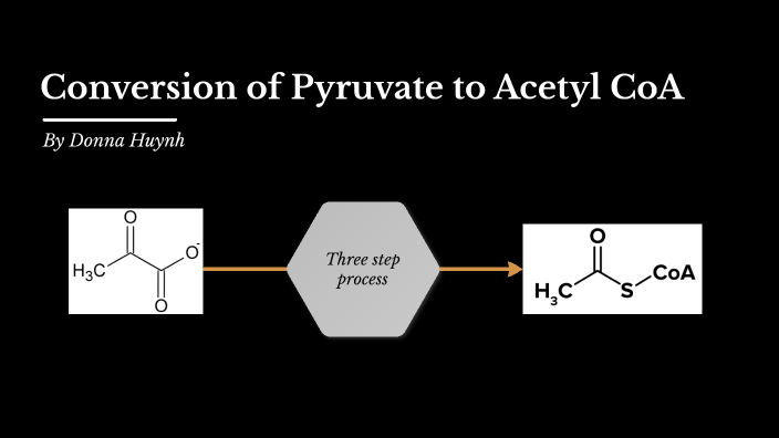 Pyruvate --> Acetyl CoA by Donna Huynh on Prezi