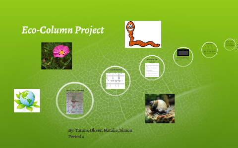 eco column experiment