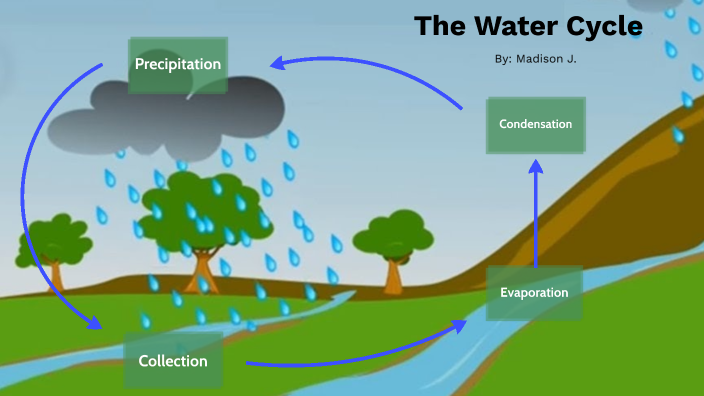 water cycle prezi presentation