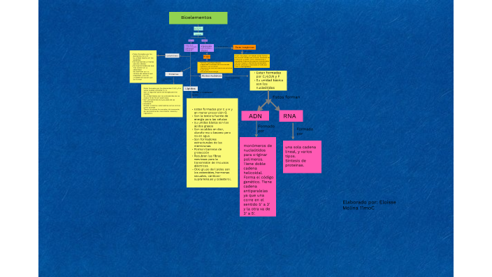 Mapa conceptual Bioelementos by elo moli on Prezi