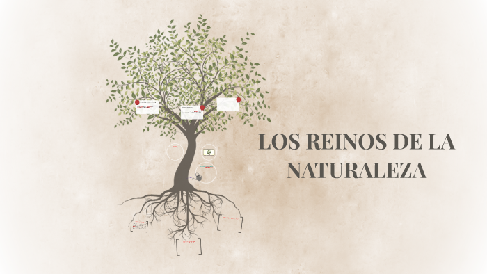 LOS REINOS DE LA NATURALEZA by Bladimir Vergara on Prezi