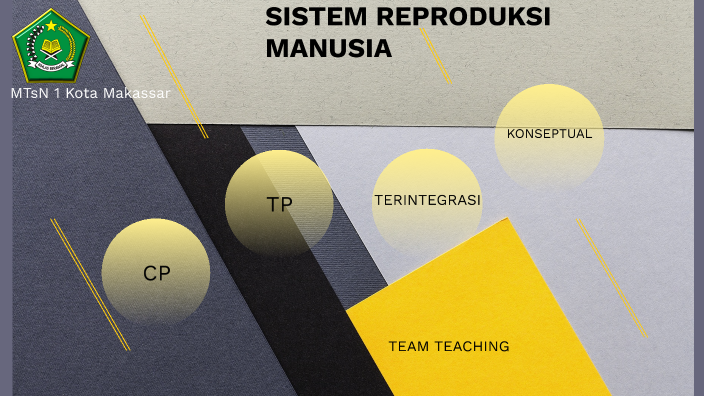 Sistem Reproduksi Manusia By Nahda Hamid On Prezi