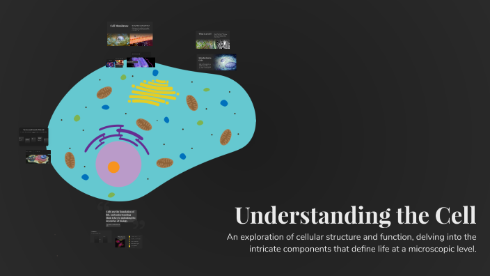 Understanding the Cell by Josemar Alvarez on Prezi